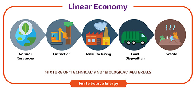 Imagem mostrando as etapas da economia linear