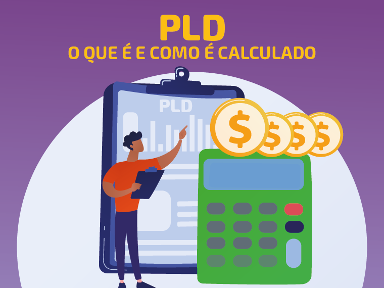 PLD: o que é e como é calculado?