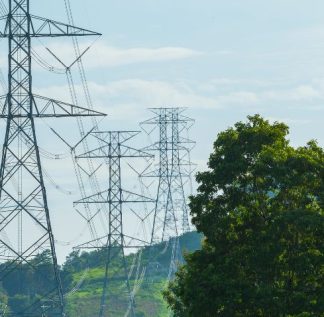 linha de transmissão na floresta