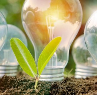 cinco lâmpadas enterradas na terra representando a energia renovável