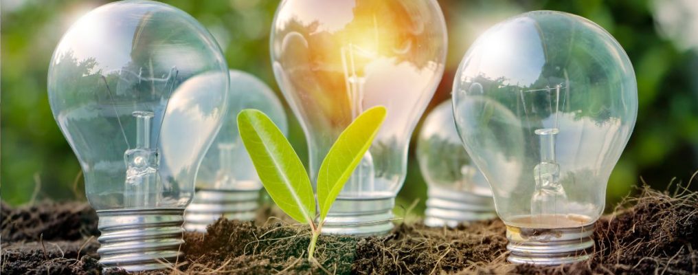 cinco lâmpadas enterradas na terra representando a energia renovável