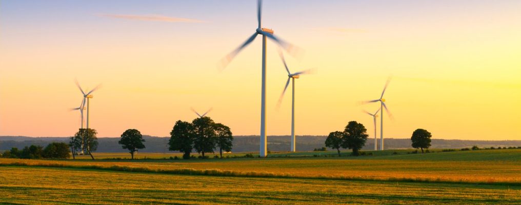 Sua empresa faz parte da economia verde Entenda o conceito